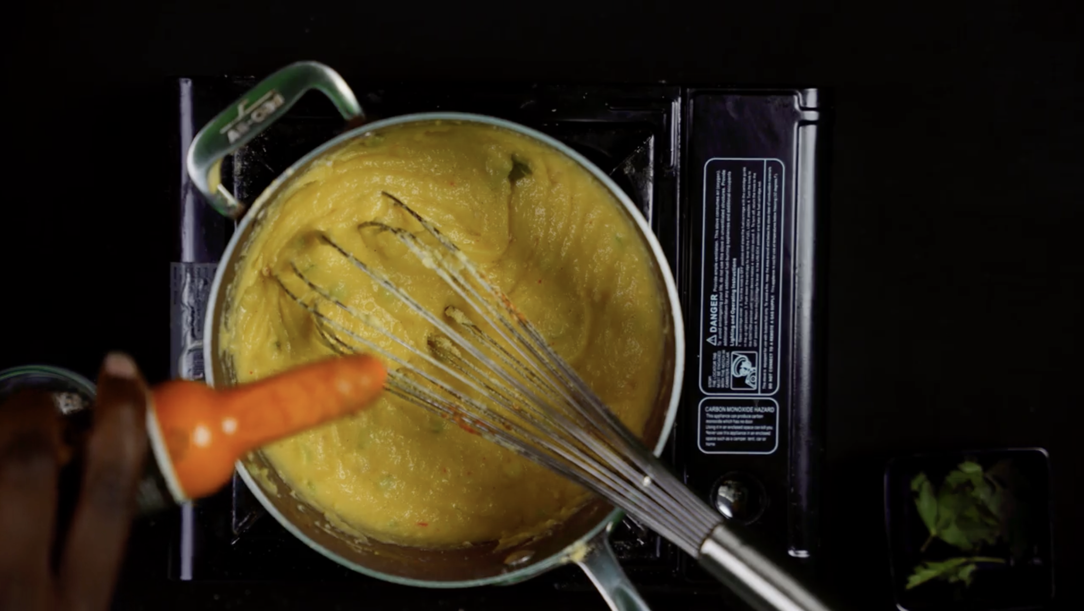 Virgin Islands Fungi