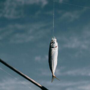 Group logo of Eco-Exploration